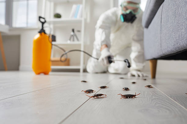 Commercial Kitchen Cockroach Control in Ragland